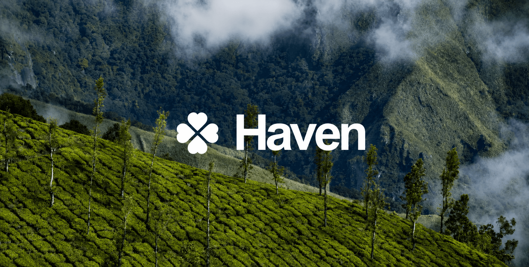 Luxury Resort Website Design - Haven Munnar